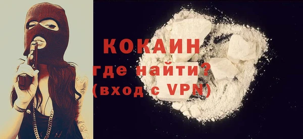 шишки Осинники