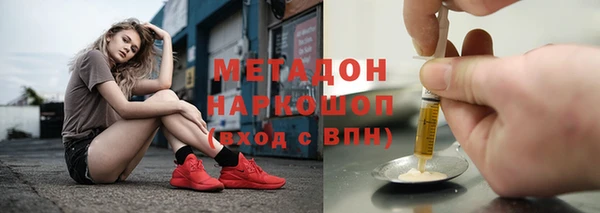 шишки Осинники