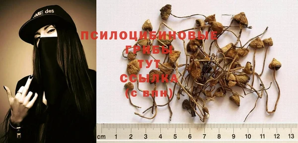 ECSTASY Алзамай